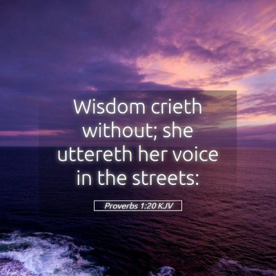Picture 05 - Proverbs 1:20 KJV - Wisdom crieth without; she uttereth her voice in - Bible Verse Picture