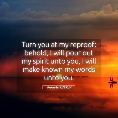 Picture 05 - Proverbs 1:23 KJV - Turn you at my reproof: behold, I will pour out - Bible Verse Picture