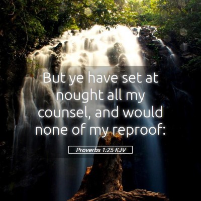 Picture 05 - Proverbs 1:25 KJV - But ye have set at nought all my counsel, and - Bible Verse Picture