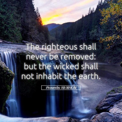 Picture 05 - Proverbs 10:30 KJV - The righteous shall never be removed: but the - Bible Verse Picture