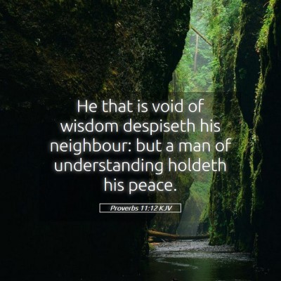 Picture 05 - Proverbs 11:12 KJV - He that is void of wisdom despiseth his - Bible Verse Picture