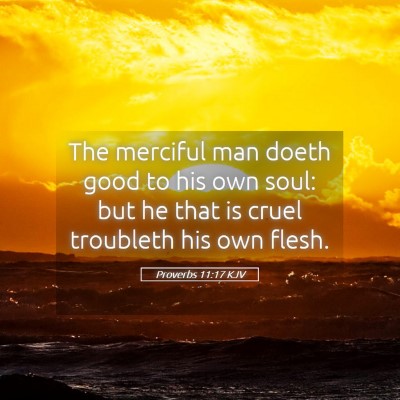 Picture 05 - Proverbs 11:17 KJV - The merciful man doeth good to his own soul: but - Bible Verse Picture
