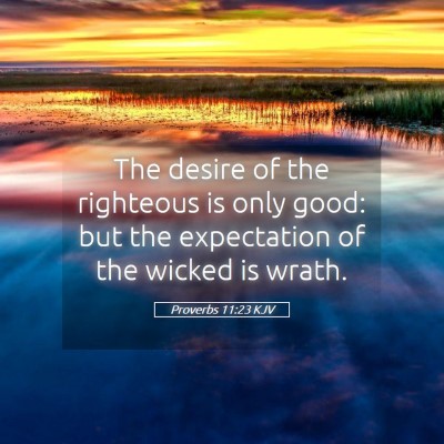 Picture 05 - Proverbs 11:23 KJV - The desire of the righteous is only good: but the - Bible Verse Picture