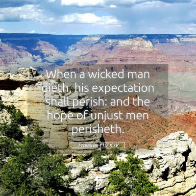 Picture 05 - Proverbs 11:7 KJV - When a wicked man dieth, his expectation shall - Bible Verse Picture