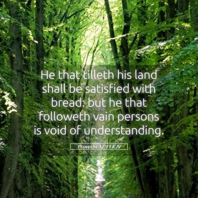 Picture 05 - Proverbs 12:11 KJV - He that tilleth his land shall be satisfied with - Bible Verse Picture