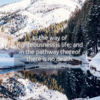 Picture 05 - Proverbs 12:28 KJV - In the way of righteousness is life: and in the - Bible Verse Picture