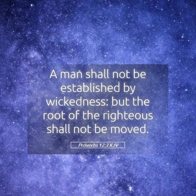 Picture 05 - Proverbs 12:3 KJV - A man shall not be established by wickedness: but - Bible Verse Picture
