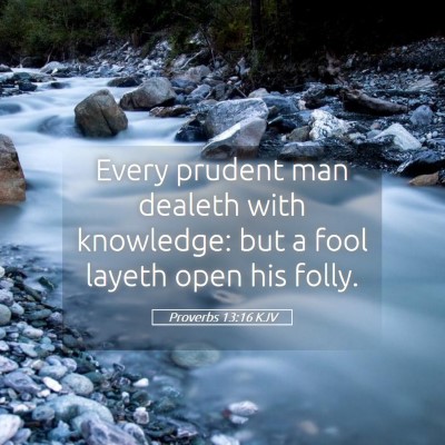 Picture 05 - Proverbs 13:16 KJV - Every prudent man dealeth with knowledge: but a - Bible Verse Picture