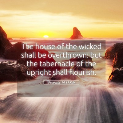 Picture 05 - Proverbs 14:11 KJV - The house of the wicked shall be overthrown: but - Bible Verse Picture