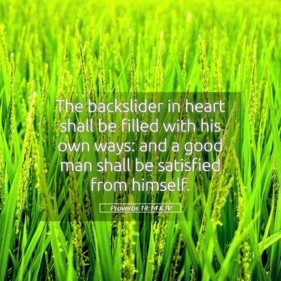 Picture 05 - Proverbs 14:14 KJV - The backslider in heart shall be filled with his - Bible Verse Picture