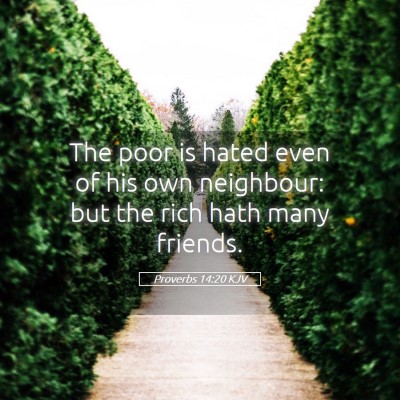 Picture 05 - Proverbs 14:20 KJV - The poor is hated even of his own neighbour: but - Bible Verse Picture