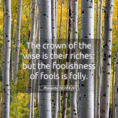 Picture 05 - Proverbs 14:24 KJV - The crown of the wise is their riches: but the - Bible Verse Picture