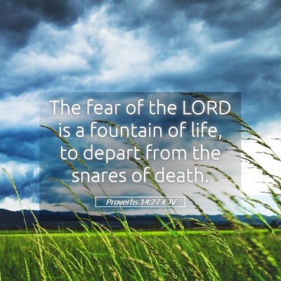 Picture 05 - Proverbs 14:27 KJV - The fear of the LORD is a fountain of life, to - Bible Verse Picture