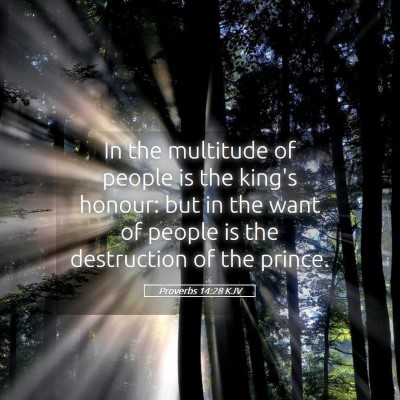 Picture 05 - Proverbs 14:28 KJV - In the multitude of people is the king's honour: - Bible Verse Picture