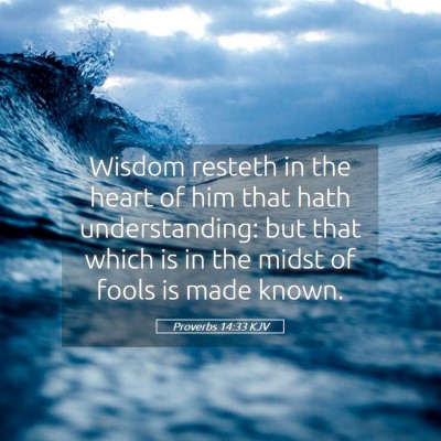 Picture 05 - Proverbs 14:33 KJV - Wisdom resteth in the heart of him that hath - Bible Verse Picture