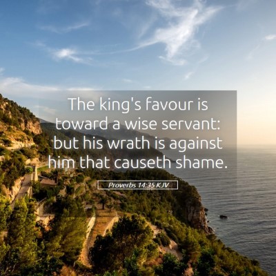 Picture 05 - Proverbs 14:35 KJV - The king's favour is toward a wise servant: but - Bible Verse Picture