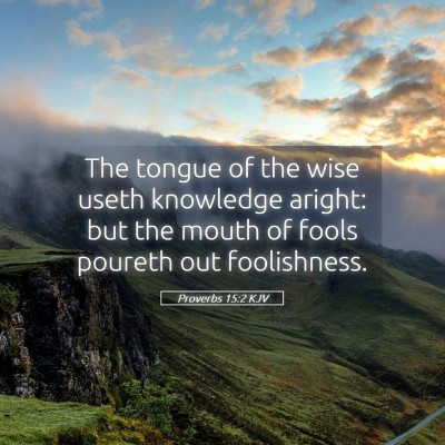 Picture 05 - Proverbs 15:2 KJV - The tongue of the wise useth knowledge aright: - Bible Verse Picture