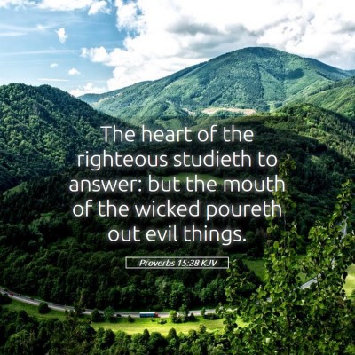 Picture 05 - Proverbs 15:28 KJV - The heart of the righteous studieth to answer: - Bible Verse Picture