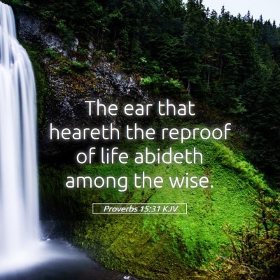 Picture 05 - Proverbs 15:31 KJV - The ear that heareth the reproof of life abideth - Bible Verse Picture