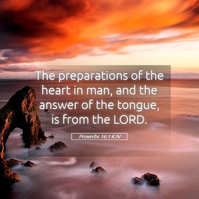 Picture 05 - Proverbs 16:1 KJV - The preparations of the heart in man, and the - Bible Verse Picture