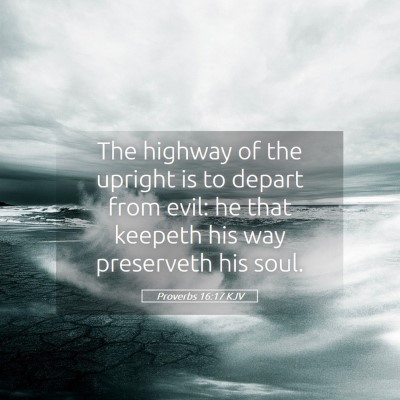 Picture 05 - Proverbs 16:17 KJV - The highway of the upright is to depart from - Bible Verse Picture