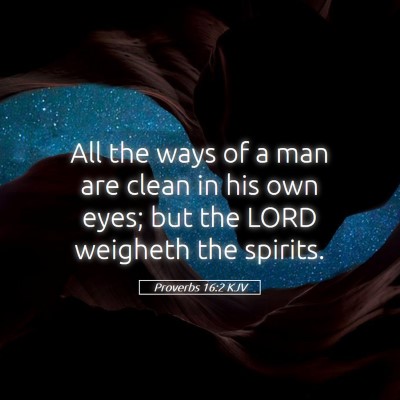 Picture 05 - Proverbs 16:2 KJV - All the ways of a man are clean in his own eyes; - Bible Verse Picture