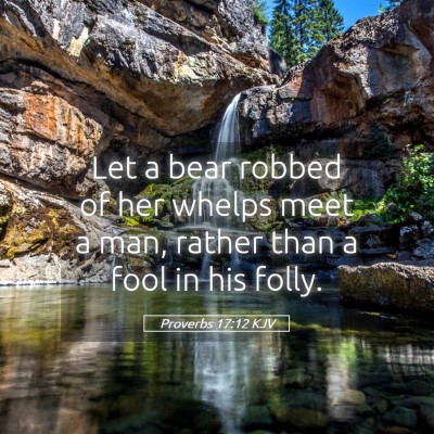 Picture 05 - Proverbs 17:12 KJV - Let a bear robbed of her whelps meet a man, - Bible Verse Picture