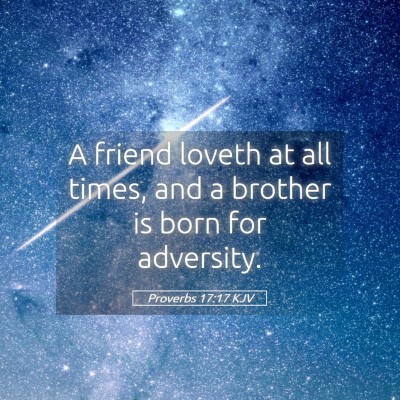 Picture 05 - Proverbs 17:17 KJV - A friend loveth at all times, and a brother is - Bible Verse Picture