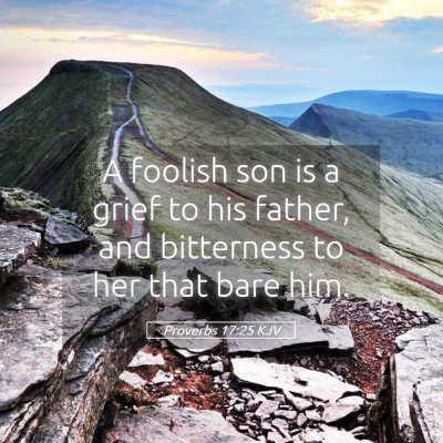 Picture 05 - Proverbs 17:25 KJV - A foolish son is a grief to his father, and - Bible Verse Picture