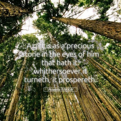 Picture 05 - Proverbs 17:8 KJV - A gift is as a precious stone in the eyes of him - Bible Verse Picture
