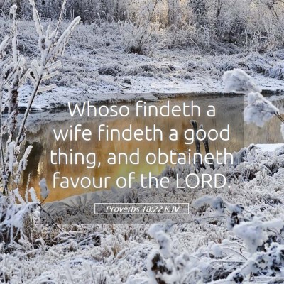 Picture 05 - Proverbs 18:22 KJV - Whoso findeth a wife findeth a good thing, and - Bible Verse Picture