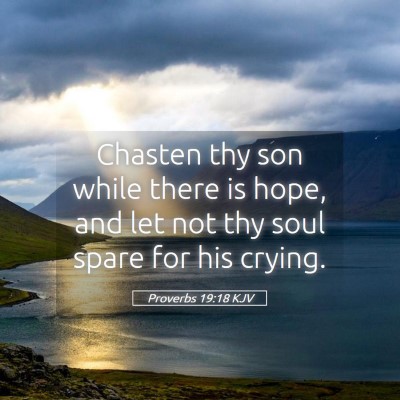 Picture 05 - Proverbs 19:18 KJV - Chasten thy son while there is hope, and let not - Bible Verse Picture