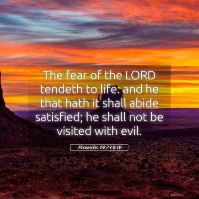 Picture 05 - Proverbs 19:23 KJV - The fear of the LORD tendeth to life: and he that - Bible Verse Picture