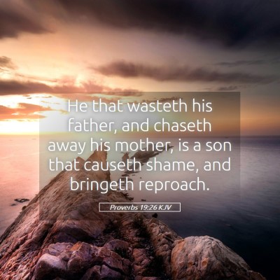 Picture 05 - Proverbs 19:26 KJV - He that wasteth his father, and chaseth away his - Bible Verse Picture