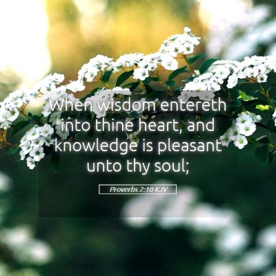 Picture 05 - Proverbs 2:10 KJV - When wisdom entereth into thine heart, and - Bible Verse Picture