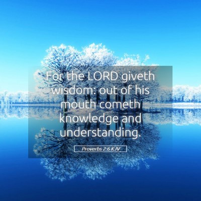 Picture 05 - Proverbs 2:6 KJV - For the LORD giveth wisdom: out of his mouth - Bible Verse Picture