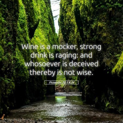 Picture 05 - Proverbs 20:1 KJV - Wine is a mocker, strong drink is raging: and - Bible Verse Picture