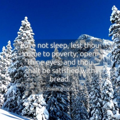 Picture 05 - Proverbs 20:13 KJV - Love not sleep, lest thou come to poverty; open - Bible Verse Picture
