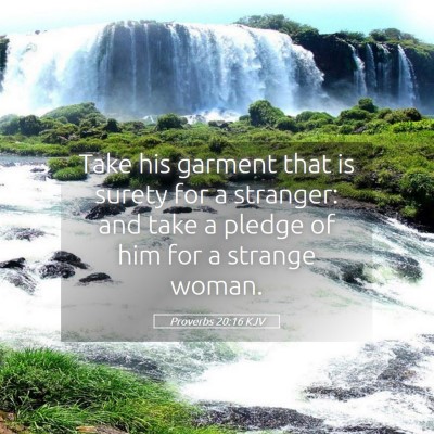 Picture 05 - Proverbs 20:16 KJV - Take his garment that is surety for a stranger: - Bible Verse Picture