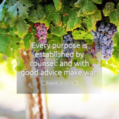 Picture 05 - Proverbs 20:18 KJV - Every purpose is established by counsel: and with - Bible Verse Picture