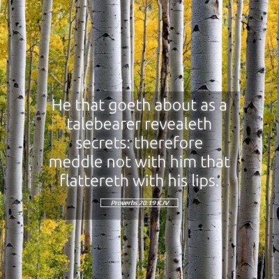 Picture 05 - Proverbs 20:19 KJV - He that goeth about as a talebearer revealeth - Bible Verse Picture
