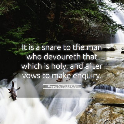 Picture 05 - Proverbs 20:25 KJV - It is a snare to the man who devoureth that which - Bible Verse Picture