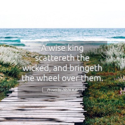 Picture 05 - Proverbs 20:26 KJV - A wise king scattereth the wicked, and bringeth - Bible Verse Picture