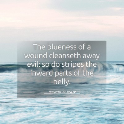 Picture 05 - Proverbs 20:30 KJV - The blueness of a wound cleanseth away evil: so - Bible Verse Picture