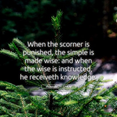 Picture 05 - Proverbs 21:11 KJV - When the scorner is punished, the simple is made - Bible Verse Picture