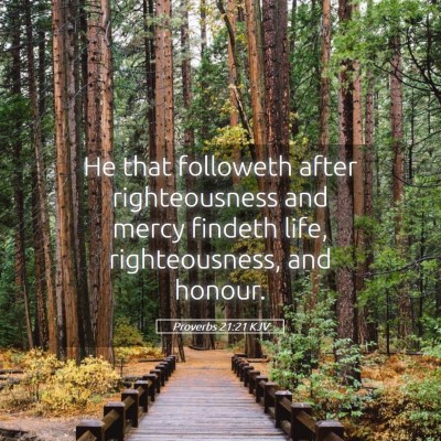 Picture 05 - Proverbs 21:21 KJV - He that followeth after righteousness and mercy - Bible Verse Picture
