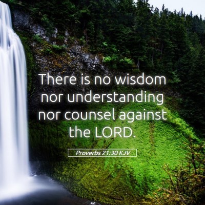Picture 05 - Proverbs 21:30 KJV - There is no wisdom nor understanding nor counsel - Bible Verse Picture
