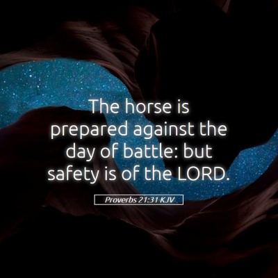 Picture 05 - Proverbs 21:31 KJV - The horse is prepared against the day of battle: - Bible Verse Picture
