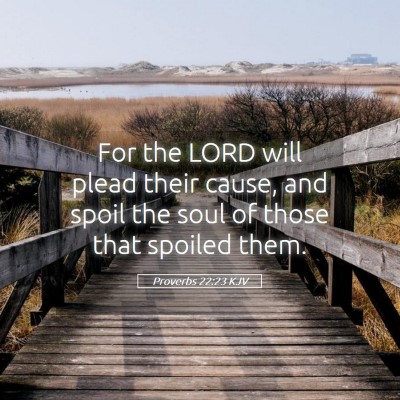 Picture 05 - Proverbs 22:23 KJV - For the LORD will plead their cause, and spoil - Bible Verse Picture