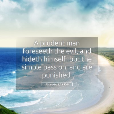 Picture 05 - Proverbs 22:3 KJV - A prudent man foreseeth the evil, and hideth - Bible Verse Picture